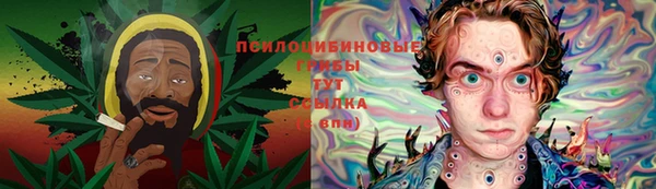 шишки Зеленокумск