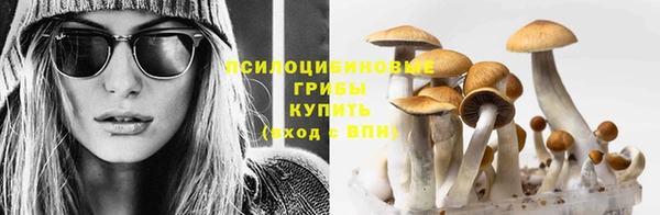 шишки Зеленокумск