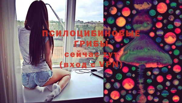 шишки Зеленокумск