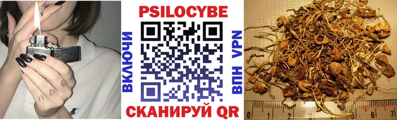 Псилоцибиновые грибы Cubensis  Купить где  Поронайск 