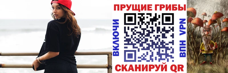 Псилоцибиновые грибы ЛСД Поронайск